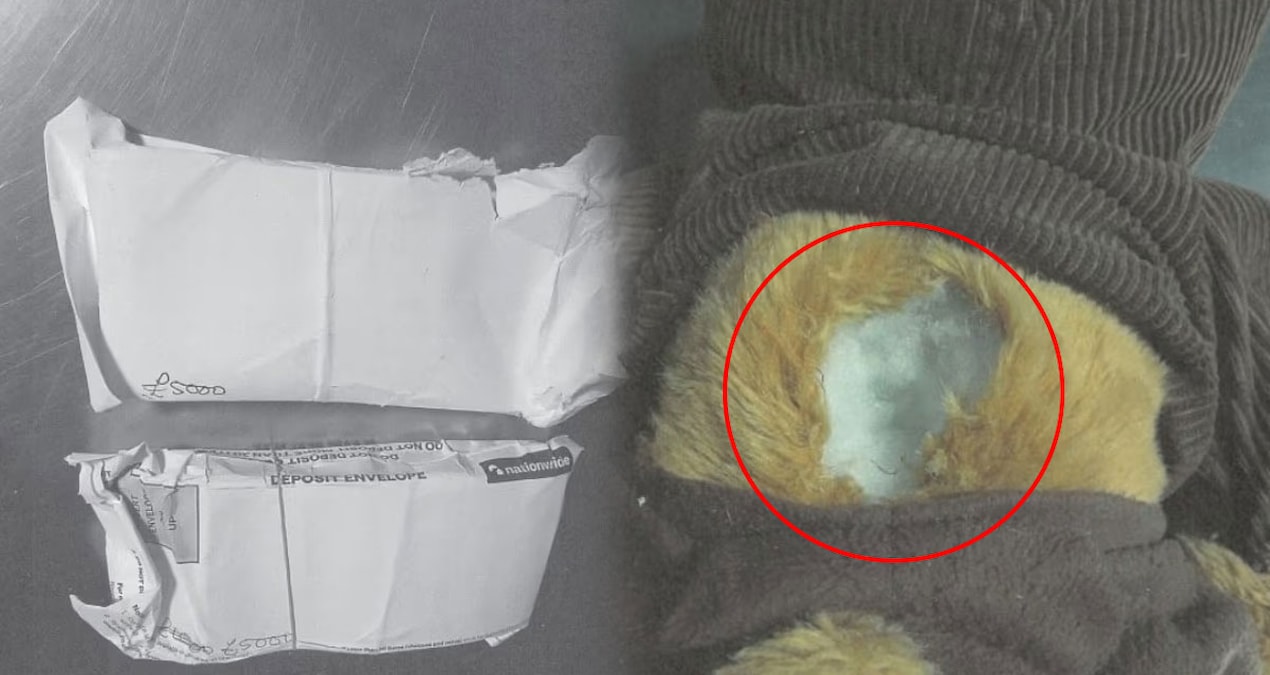 bu oyuncak ayiyla kurtarma operasyonu yaptigini sandi 563 bin tl buhar oldu MT91rGKI