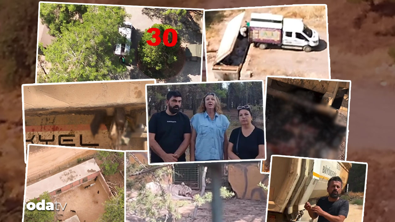 gaziantepte neler oluyor kopek ve esekleri aslanlara mi yedirdiler iddiasi belediyeden aciklama eR1CHrk4