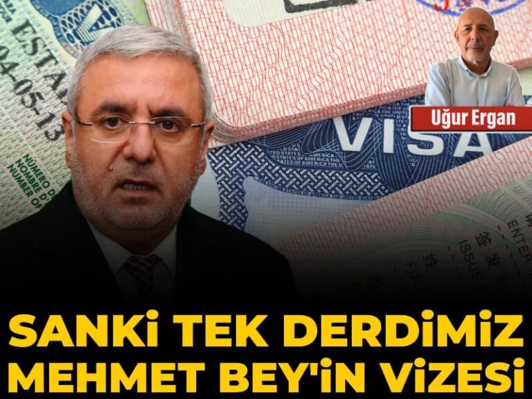 sanki-tek-derdimiz-mehmet-beyin-vizesi-LRcy5TJG